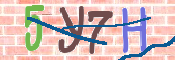 キャプチャ画像