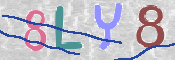キャプチャ画像