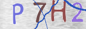キャプチャ画像