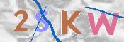キャプチャ画像