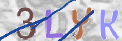 キャプチャ画像