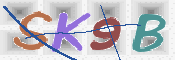 キャプチャ画像